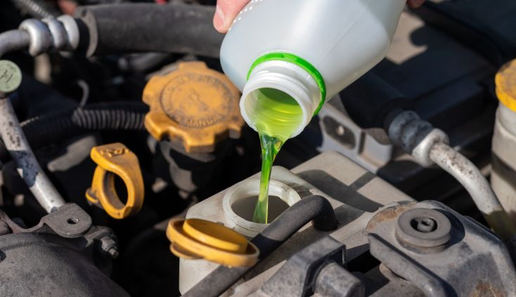coolant or antifreeze