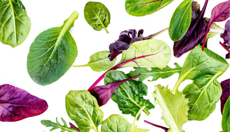 A variety of leafy greens on a white background.